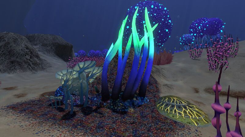 File:Bulb Zone (4).jpg