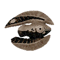 Thumbnail for version as of 17:43, 6 August 2021