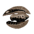 Cooked Feather Fish (Red) Icon.png
