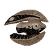 Cooked Feather Fish (Red) Icon.png