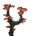 Coral Tree Fauna.png