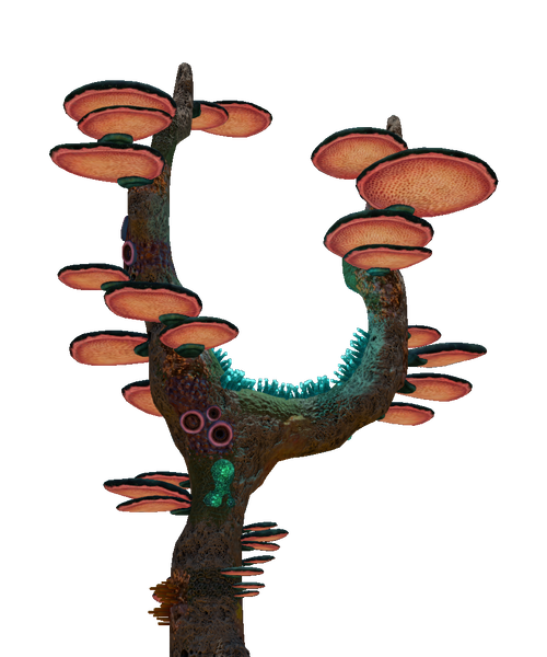 File:Coral Tree Fauna.png