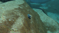 A Supply Crate in the Crash Zone