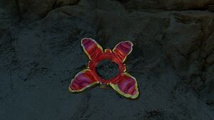CrashfishPlantDay.jpg