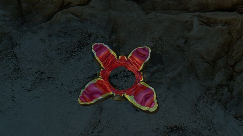File:CrashfishPlantDay.jpg