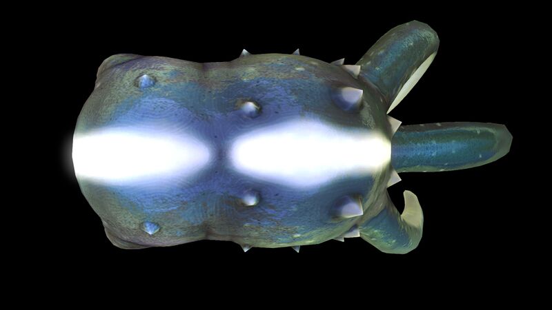 File:Cutefish5.jpg