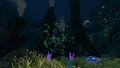 Thumbnail for version as of 20:21, 4 March 2017