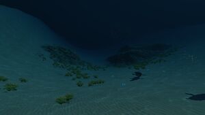 Dunes (25).jpg