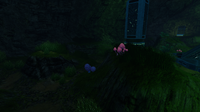 The Flora found within