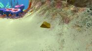 SeabedFlint.jpg