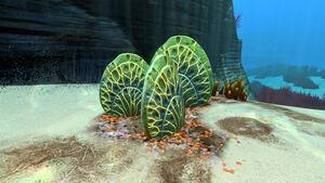 Shellplate01.jpg