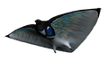 Thumbnail for version as of 17:50, 20 September 2015