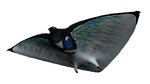 Skyray Fauna.png