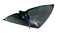 Skyray Fauna.png