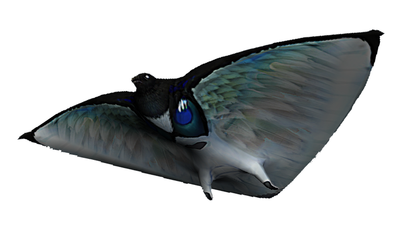 File:Skyray Fauna.png