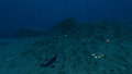 Thumbnail for version as of 14:02, 29 May 2017