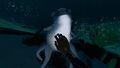 CuteFishTickle.jpg