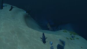 DunesWreckSand.jpg