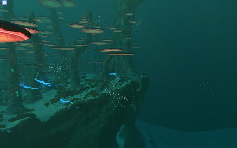 File:Mushroomforestcliff.jpg
