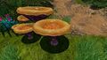 Orange Mushrooms on the Floater Islands