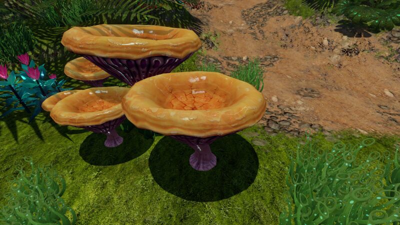 File:Orange Mushrooms.jpg