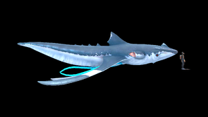 Squidshark Sizeref.png