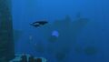 The largest Underwater Island