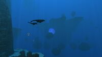 The largest Underwater Island