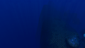Thumbnail for version as of 04:08, 7 July 2017
