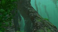One of the rock formations in the Kelp Forest