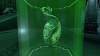 The fifth relic