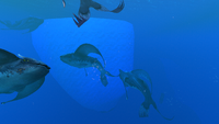 Arctic biome glow whales.png