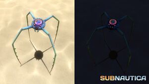 Cave Crawler (8).jpg