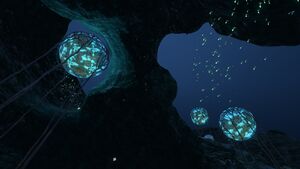 Deep Grand Reef (19).jpg