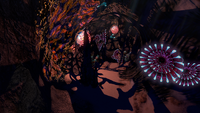 A Tiger Plant in the caves