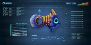 Holefish.jpg