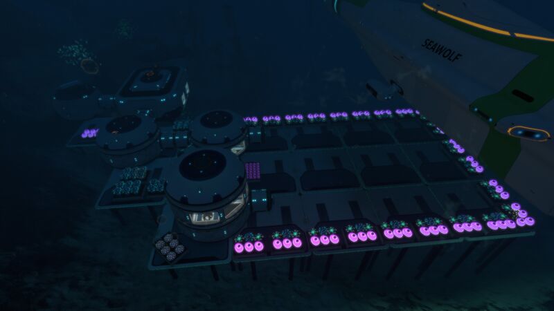 File:Mushroom Forest Base.jpg