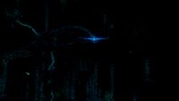 The adult Ghost Leviathan in the Northern Blood Kelp Zone at night