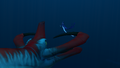 Mr Warper hasn't seen him yet...