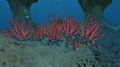 Thumbnail for version as of 11:49, 3 March 2017