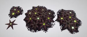 Starfish on sketchfab.JPG