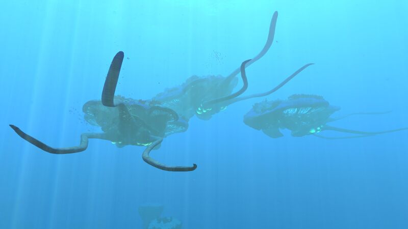 File:20170127214752 1.jpg