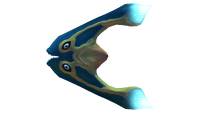 Boomerang Fauna.png