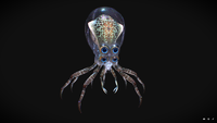 Crabsquid Model from Sketchfab