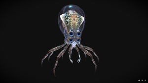 Crabsquidmodel.png