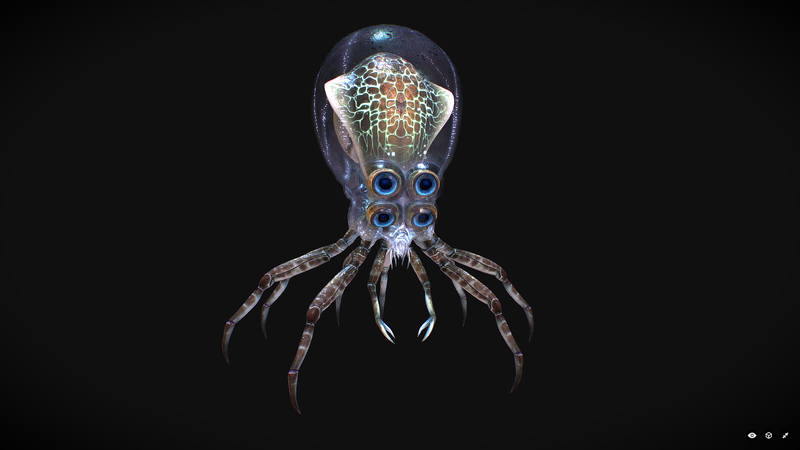 File:Crabsquidmodel.png