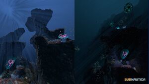 Grand Reef (002).jpg
