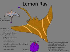 Lemon Ray Concept 2.jpg