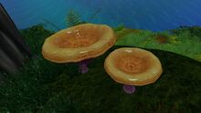 Orange Mushroom Dark Pic.jpg