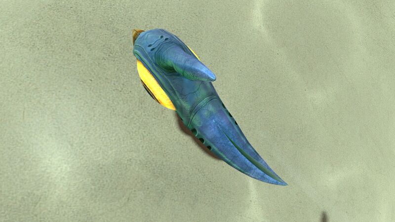 File:Peeper (12).jpg